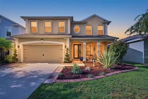 11156 Spring Point Circle, home for sale in Riverview 33579