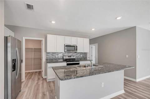 17038 Wave Tressle Place, Wimauma FL - photo 8 of 47