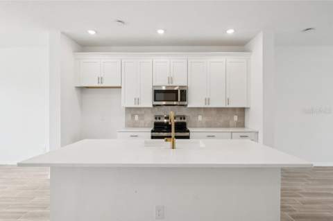 17392 Sweet Moro Drive, Winter Garden FL - photo 10 of 28