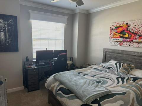 1424 Clubman Drive, Davenport FL - photo 14 of 17