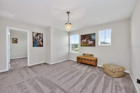 12908 Brookside Moss Drive, Riverview FL - photo 20 of 54