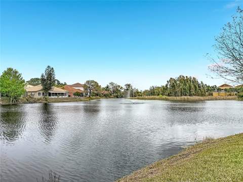 6828 Sombras Way, Land O Lakes FL - photo 15 of 33