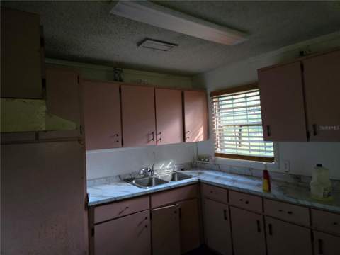 6981 Holly Street, Mount Dora FL - photo 6 of 6