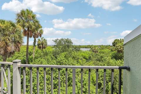 4864 Tuscan Loon Drive, Tampa FL - photo 15 of 25