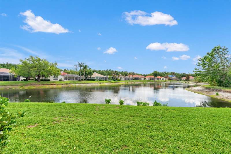 4 bedroom Single Family Residence at 17905 Arbor Greene Drive, Arbor Greene, Tampa — photo 5