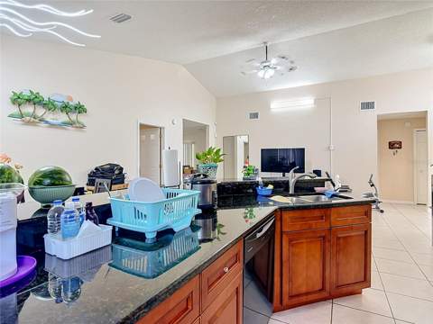 1036 Dudley Drive, Kissimmee FL - photo 7 of 21