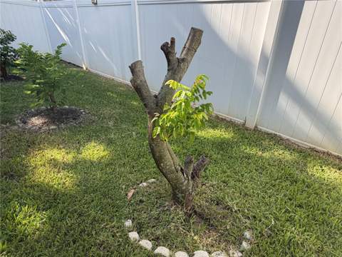 13006 Sunkiss Loop, Windermere FL - photo 15 of 52
