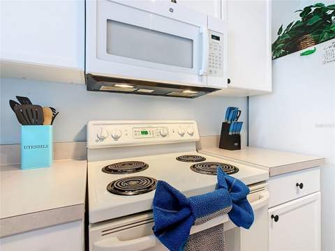 2333 Silver Palm Drive, Kissimmee FL - photo 13 of 59