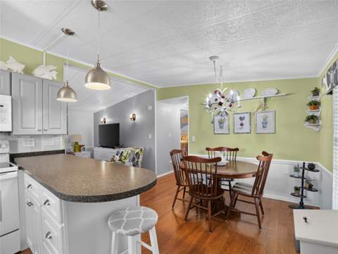 36419 Bonney Drive, Zephyrhills FL - photo 10 of 34