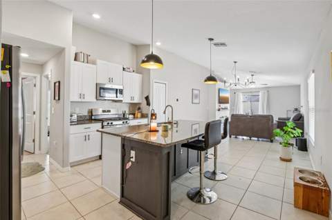 9415 Lemon Drop Loop, Sun City Center FL - photo 9 of 54