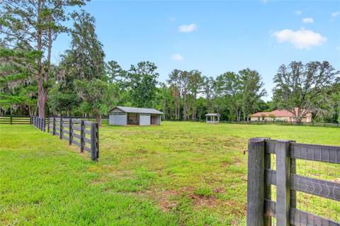 14144 NW 141st Avenue, Williston FL - photo 6 of 6