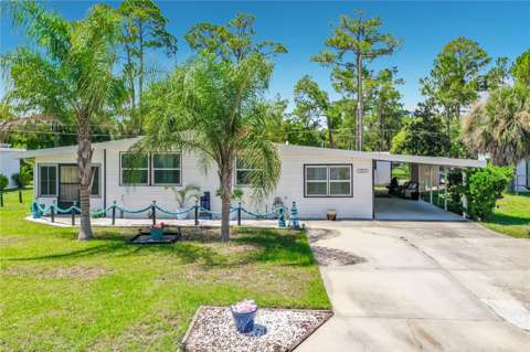 1025 Capella Drive, home for sale on Capella Drive