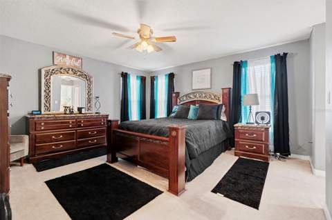 20443 Autumn Fern Avenue, Tampa FL - photo 17 of 30