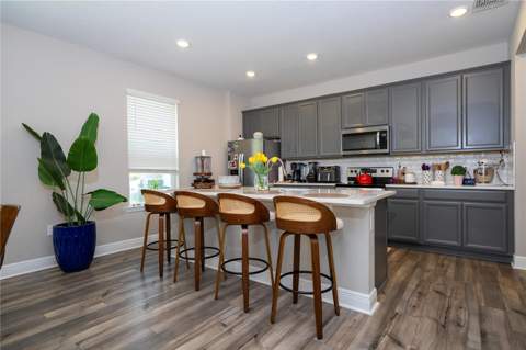 12362 Bracco Street, Winter Garden FL - photo 11 of 47