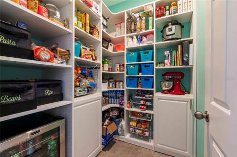 11420 Amapola Bloom Court, Riverview FL - photo 14 of 55