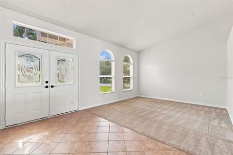 10260 Shadow Branch Drive, Tampa FL - photo 6 of 6