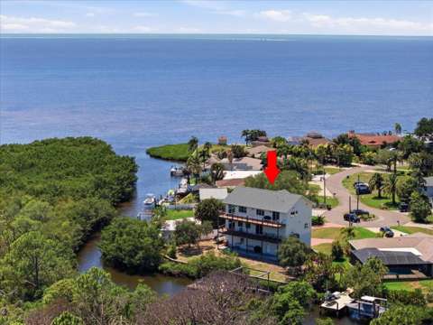 1130 S Florida Avenue, luxury home for sale in Tarpon Springs