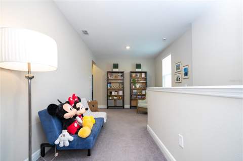 12362 Bracco Street, Winter Garden FL - photo 21 of 47