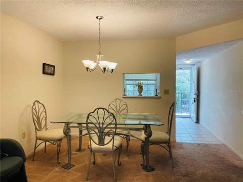 840 Virginia Street #303, Dunedin FL - photo 7 of 25