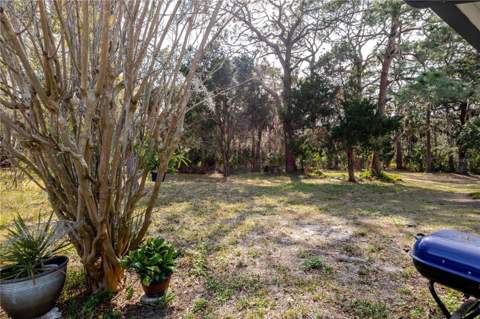 4876 Shell Stream Boulevard, New Port Richey FL - photo 9 of 39
