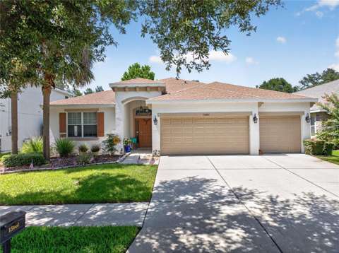 15601 Starling Water Drive, pool for sale in Lithia