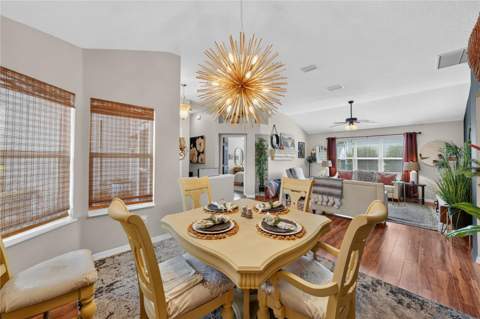 313 Gonzales Place, Lady Lake FL - photo 10 of 30