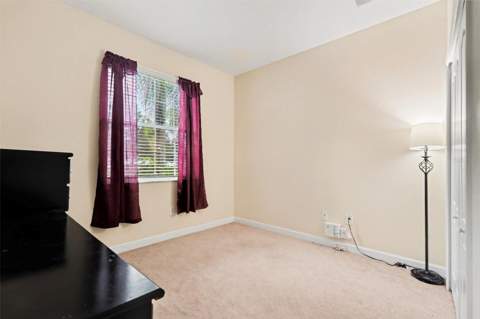 20443 Autumn Fern Avenue, Tampa FL - photo 24 of 30