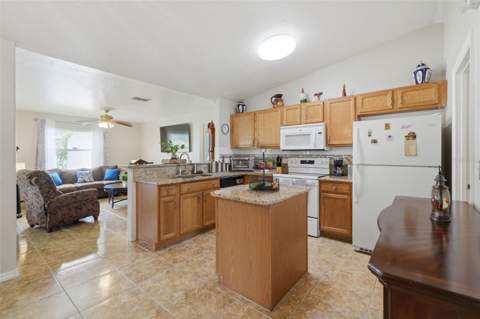 1029 Dudley Drive, Kissimmee FL - photo 6 of 36
