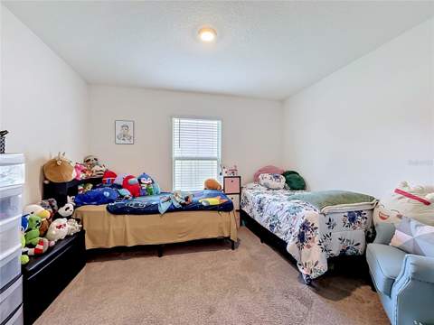 16661 Windmill Forge Pass, Wimauma FL - photo 23 of 38