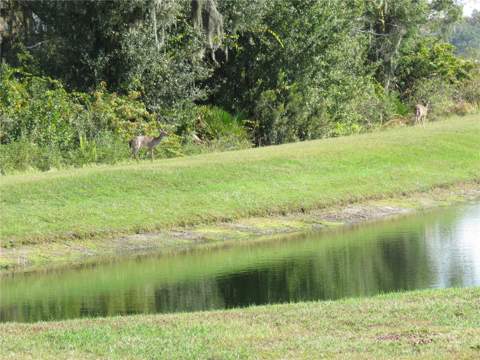 15518 Miller Creek Drive, Sun City Center FL - photo 19 of 27