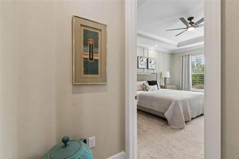 29534 Ginnetto Drive, Wesley Chapel FL - photo 20 of 99