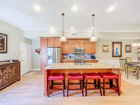 1722 Arabian Lane, Palm Harbor FL - photo 15 of 78