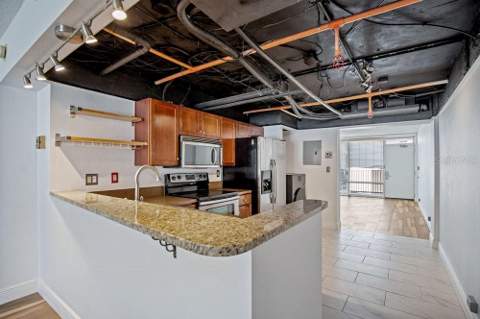 151 E Washington Street #217, Orlando FL - photo 12 of 59