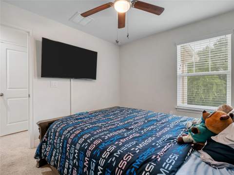 14309 Pondhawk Lane, Tampa FL - photo 20 of 42