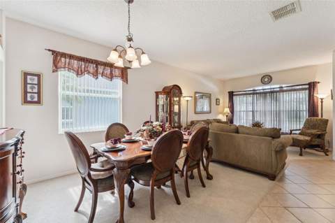 9955 Medallion Bluff Lane, Orlando FL - photo 6 of 38