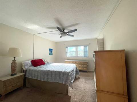 840 Virginia Street #303, Dunedin FL - photo 11 of 25