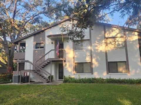 603 Baldwin Avenue #B, Safety Harbor FL - photo 21 of 32