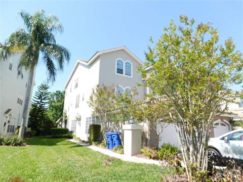 1720 Arabian Lane, Palm Harbor FL - photo 9 of 50