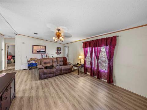 11404 Lithia Pinecrest Road, Lithia FL - photo 12 of 63