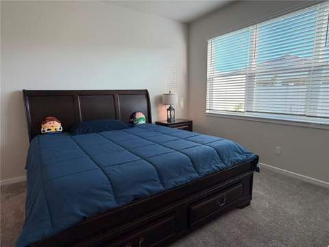 2756 Summer Retreat Lane, Kissimmee FL - photo 14 of 24