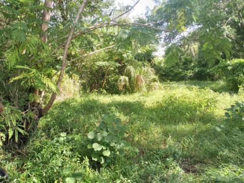 4022 Shellman Street, Orlando FL - photo 16 of 20