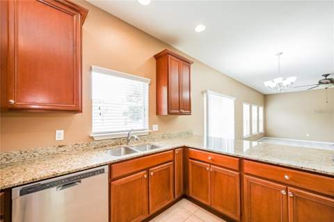 30207 Cheval Street, Mount Dora FL - photo 10 of 23