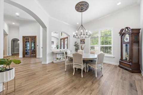 16303 Dunlindale Drive, Lithia FL - photo 6 of 69