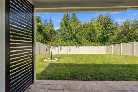 10646 Hawks Landing Drive, Land O Lakes FL - photo 6 of 6