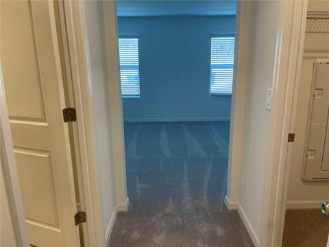36217 Risa Michele Street, Zephyrhills FL - photo 17 of 26