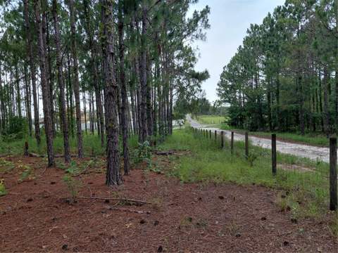 14240 Lost Lake Road, Clermont FL - photo 21 of 47