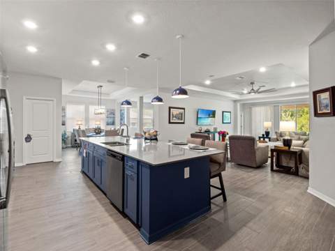 5764 Alenlon Way, Mount Dora FL - photo 16 of 55