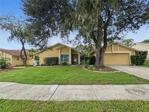2510 Brimhollow Drive, pool for sale in Valrico