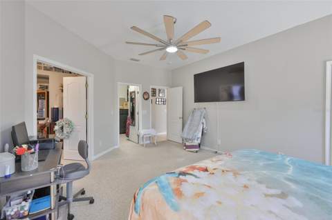 5223 Clover Mist Drive, Apollo Beach FL - photo 17 of 52