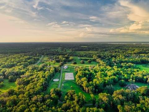 7000 NW Hwy 320, Micanopy FL - photo 8 of 72